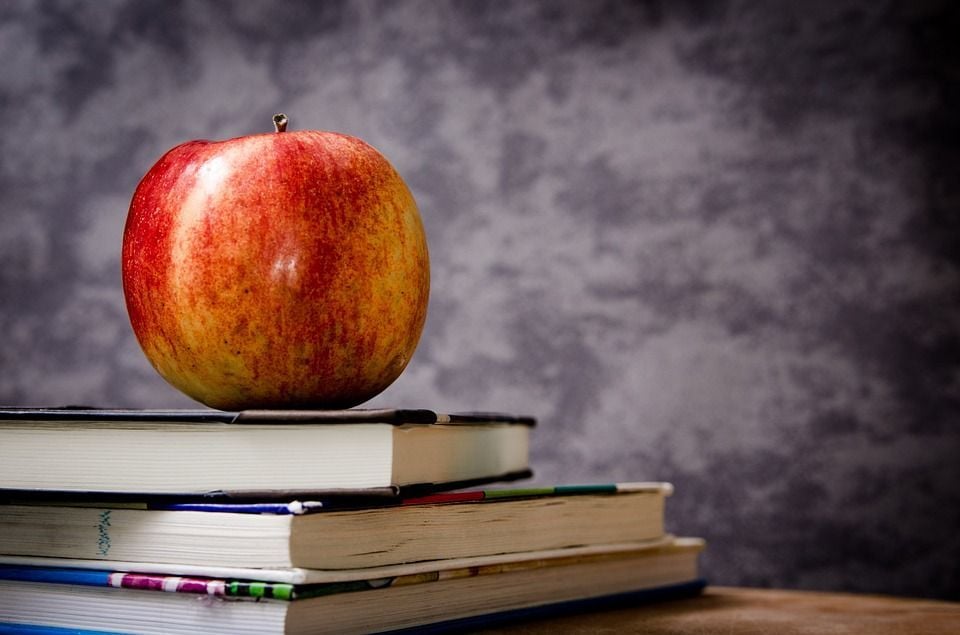 Schools and nurseries guide to Downtown Dubai
