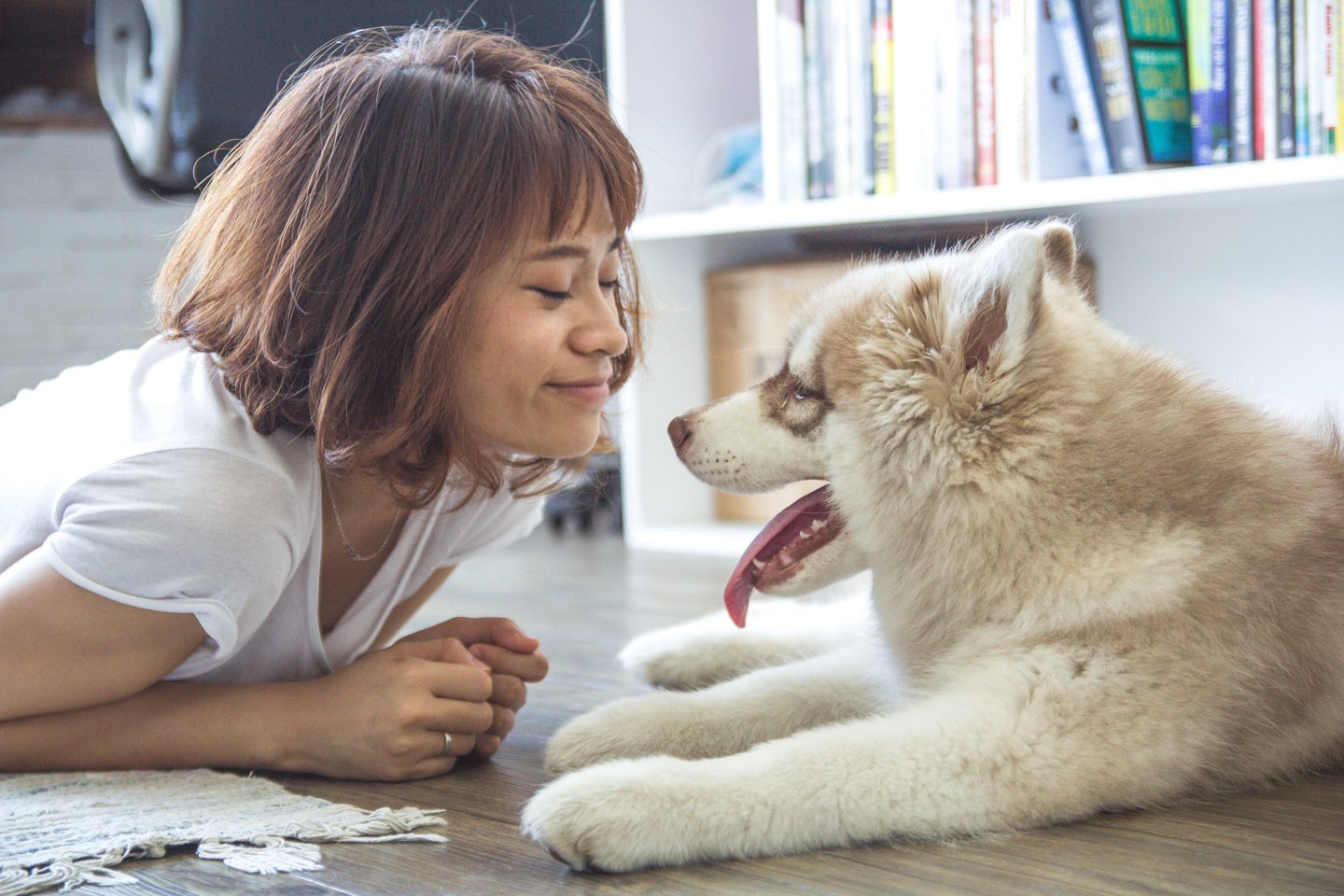 Moving to Dubai with pets