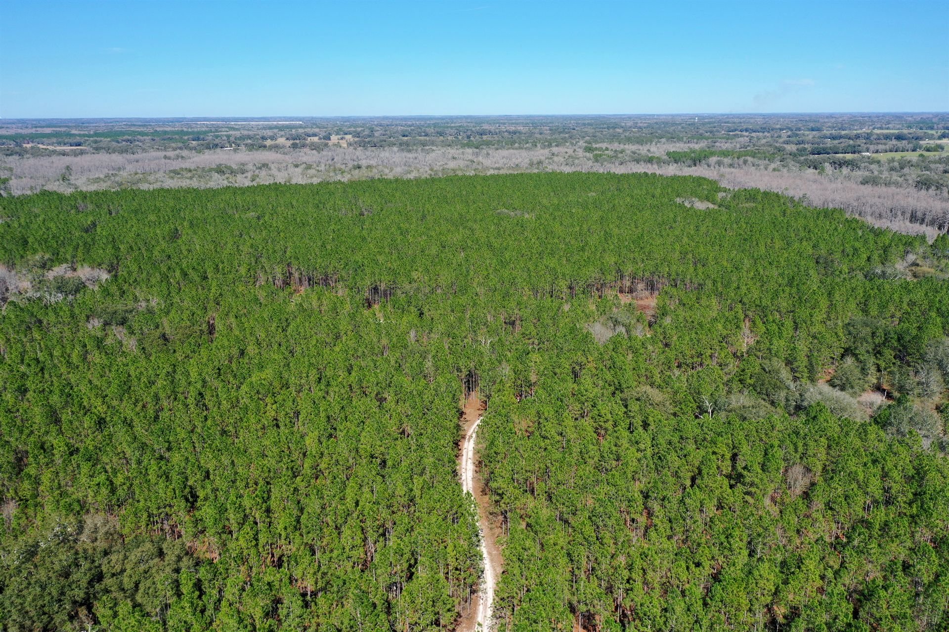 22,409± Acre Conservation Opportunity, picture 1