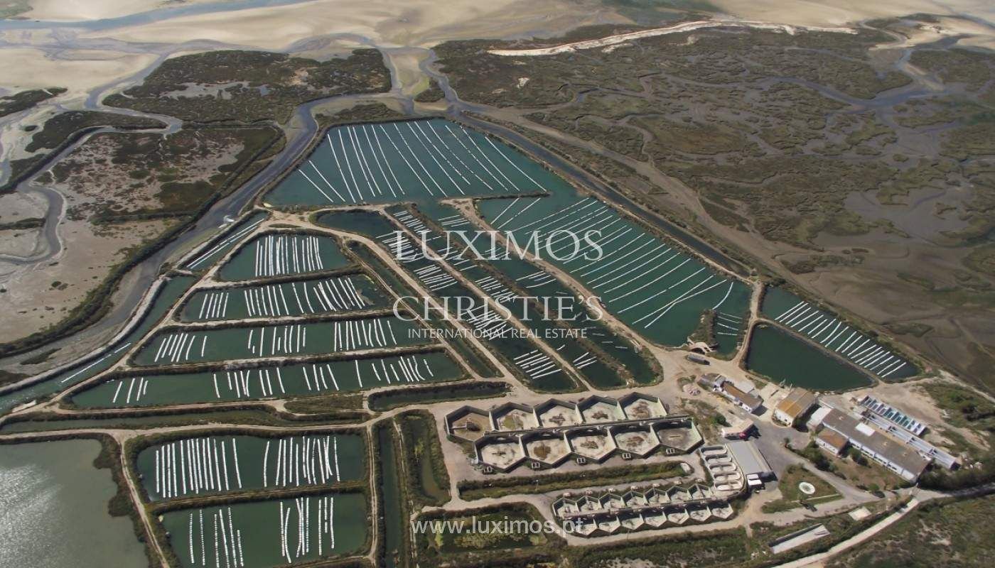 Property for sale in Ria Formosa, Algarve, picture 1