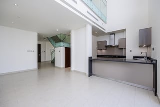 Large Terrace | Duplex | New Unit, picture 3