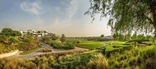 FREEHOLD LAND - VASTU NORTH EAST FACING - SKYLINE AND GO, picture 4