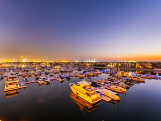 Palm Jumeirah , picture 1