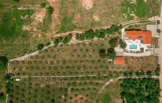 Beautiful luxury villa with olive grove of 5800 sq.m. in Vod, picture 3