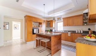 Dubai Style  |  Spacious Villa  |  Big Plot, picture 4