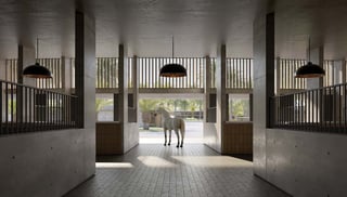 Grand Polo Club & Resort, picture 4