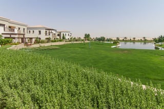 Lime Tree Valley, picture 3