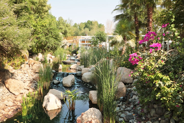 Bloom & Grow at Al Barari
