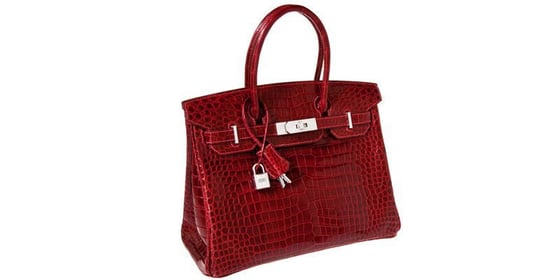 Top 10 Most Expensive Handbags of 2024: From Hermes to Mouawad -  Financesonline.com