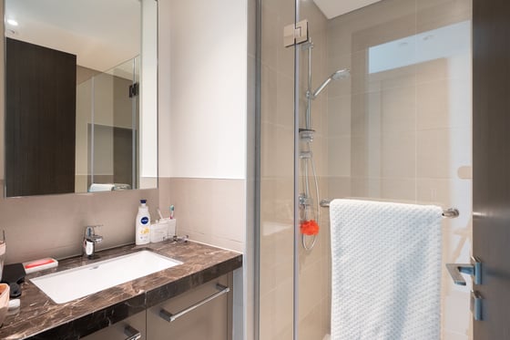 Modern, Luxury Apartment in Downtown Dubai, picture 9