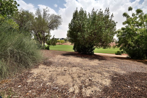 Secluded Golf Course Facing Sawgrass in Jumeirah Golf Estates, picture 13