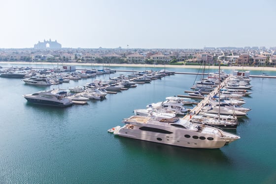 Fully Upgraded Sea View Apartment on Palm Jumeirah, picture 21