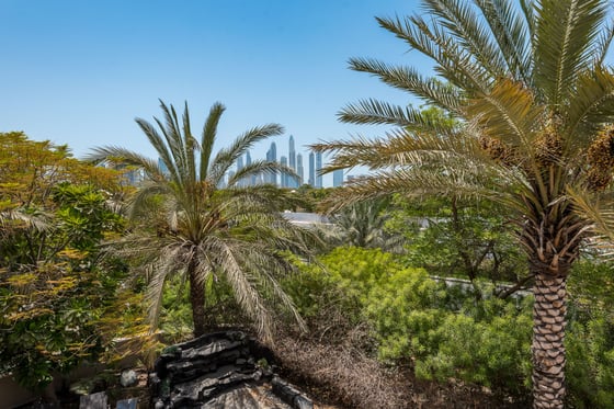 Beautifully Upgraded Corner Plot Mansion Villa in Emirates Hills, picture 25