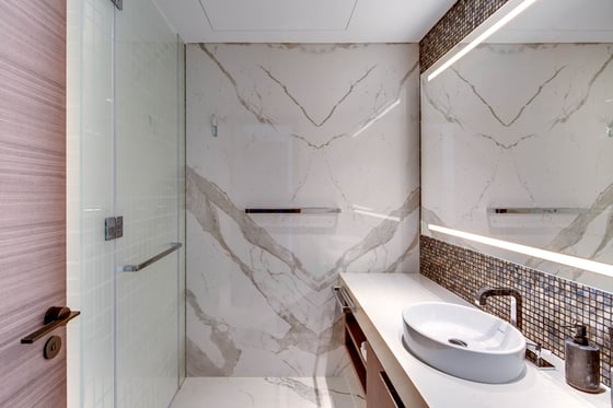 Fully Upgraded Luxury Apartment in W Residences, picture 29