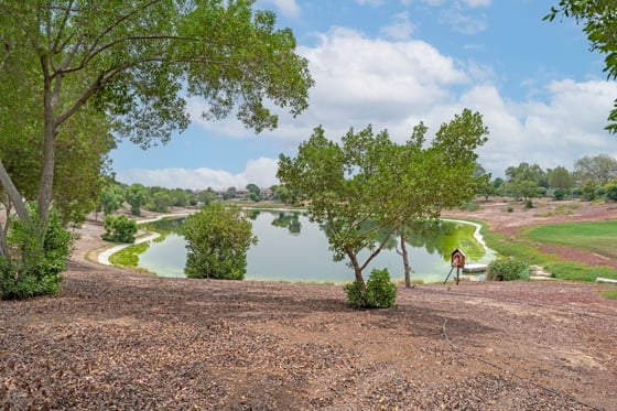 Golf Course View Villa in Jumeirah Golf Estates, picture 19