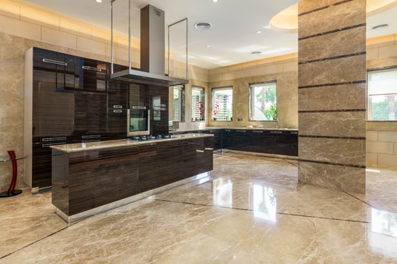 Fully furnished and upgraded villa in Emirates Hills, picture 8