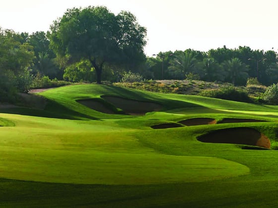 Luxurious Jumeirah Golf Estates Mansion, picture 19