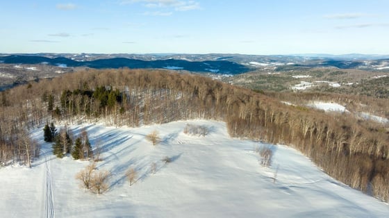 Little Baldy Hill Farm, picture 18