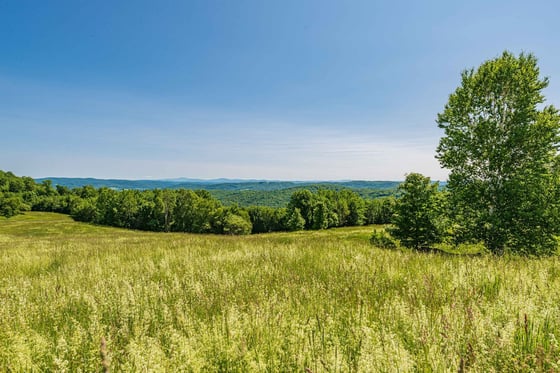 Little Baldy Hill Farm, picture 15