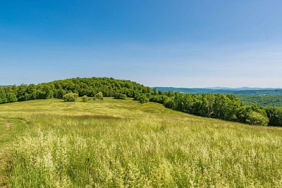 Little Baldy Hill Farm, picture 17