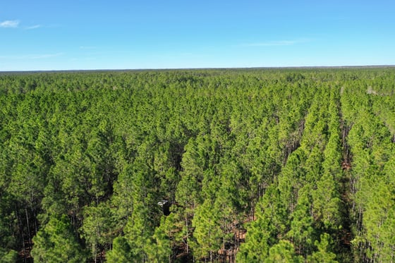 22,409± Acre Conservation Opportunity, picture 6