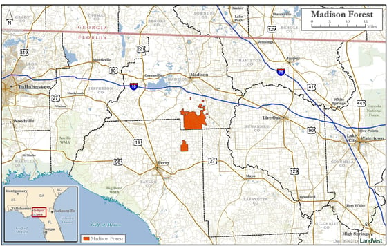 22,409± Acre Conservation Opportunity, picture 2