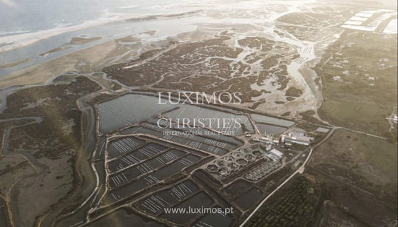 Property for sale in Ria Formosa, Algarve, picture 3