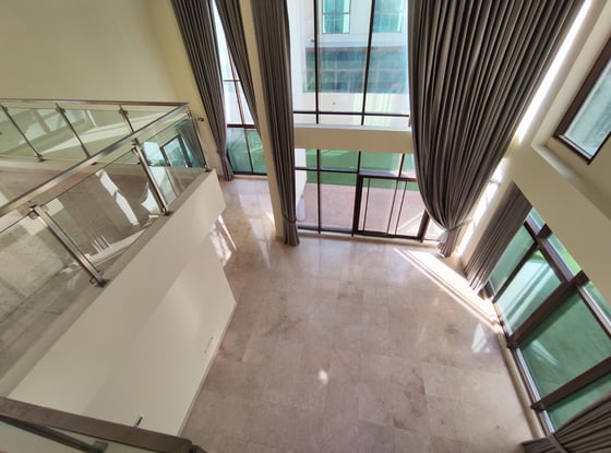 Triple Height Ceiling | Double Maids Room | Elevator, picture 11