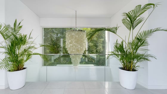Corner villa in Al Barari with private pool and garden, picture 9