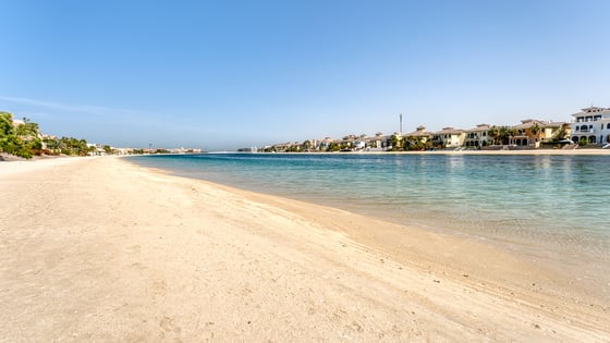 Stunning villa in Palm Jumeirah with atrium entry, picture 28