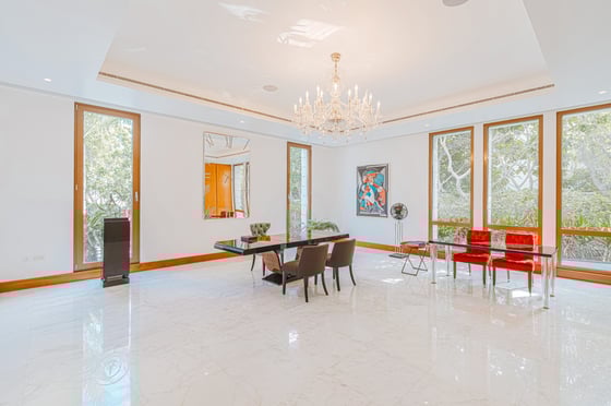 Modern Mansion Inc Full Basement and Roof Terrace, picture 3