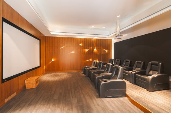 Modern Mansion Inc Full Basement and Roof Terrace, picture 7