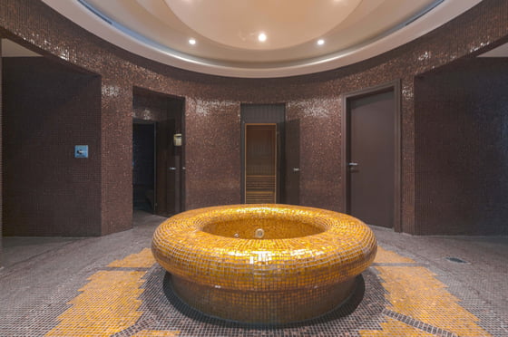 Modern Mansion Inc Full Basement and Roof Terrace, picture 12