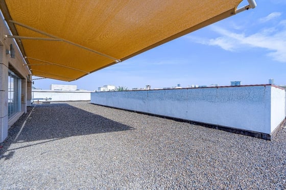 Contemporary Mansion Inc | Basement | Roof Terrace, picture 10