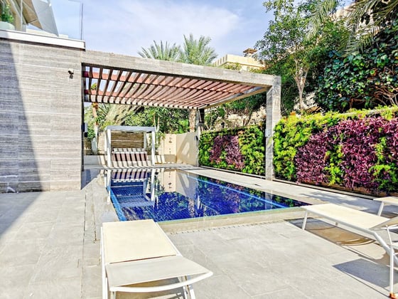 Contemporary Mansion Inc | Basement | Roof Terrace, picture 2