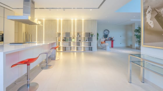Luxuriously Renovated Loft in Al Barari, picture 9
