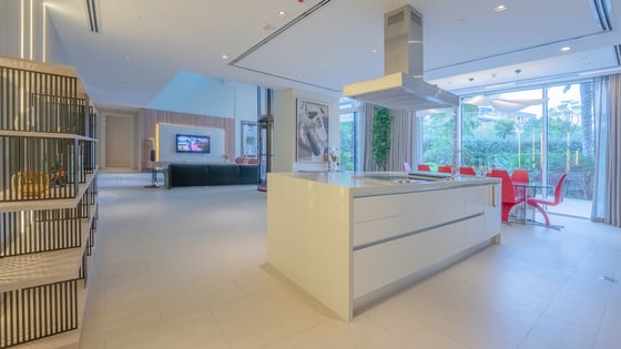 Luxuriously Renovated Loft in Al Barari, picture 3