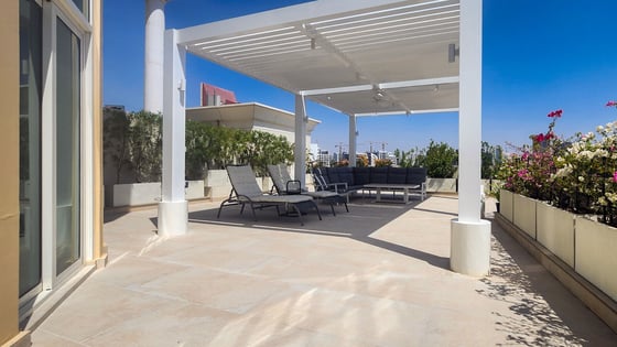 Spacious Terrace, Penthouse, Newly Renovated, picture 13