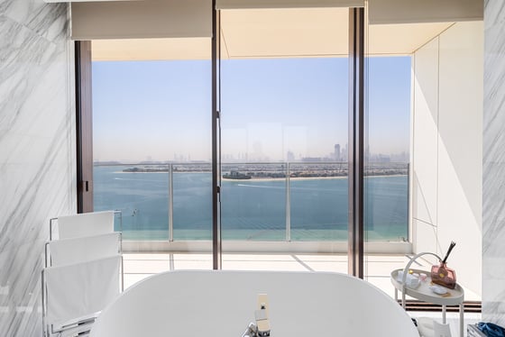 Fully Furnished  |  Palm View  |  Vacant, picture 13