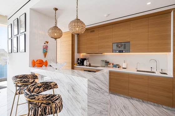 Fully Furnished  |  Palm View  |  Vacant, picture 7