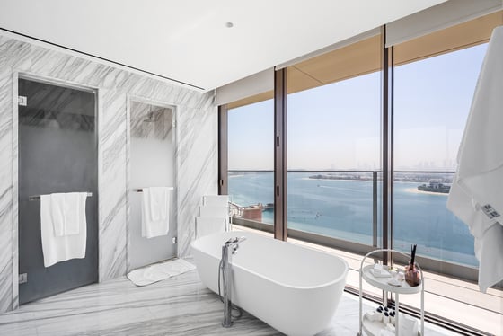Fully Furnished  |  Palm View  |  Vacant, picture 12