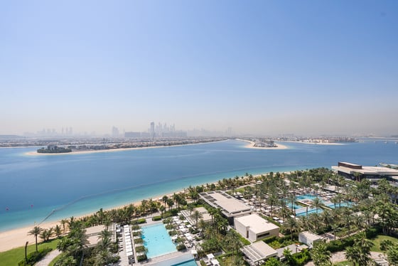 Fully Furnished  |  Palm View  |  Vacant, picture 10