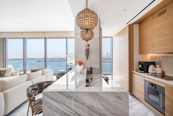 Fully Furnished  |  Palm View  |  Vacant, picture 8