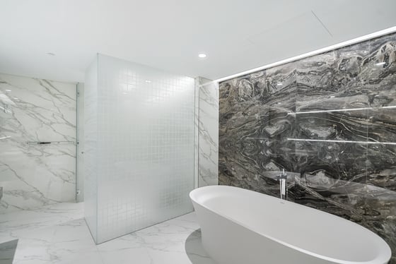 Brand New | High Floor | Palm and Skyline View, picture 9