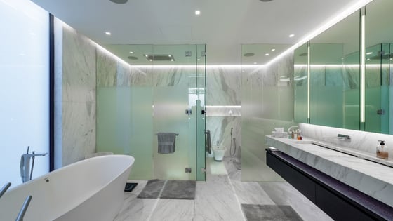 Stunning Minimalist Beachfront Villa on the Palm, picture 15