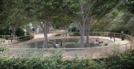 Masaar | A Forest Living In Sharjah By Arada, picture 9