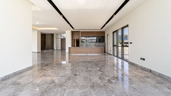 Brand new villa in Dubai Hills with modern design, picture 3