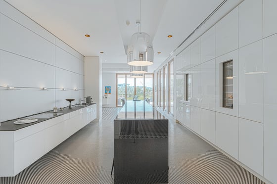 Modern Mansion Inc Full Basement and Roof Terrace, picture 11