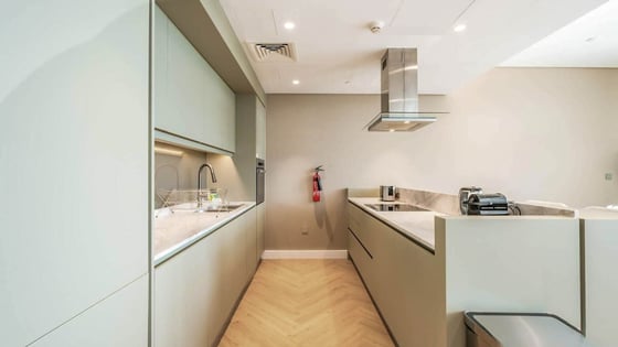 Vacant unit in Bluewaters with full Ain view, picture 15