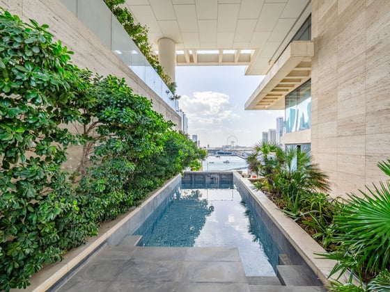 Penthouse, Private pool, motivated seller, picture 19